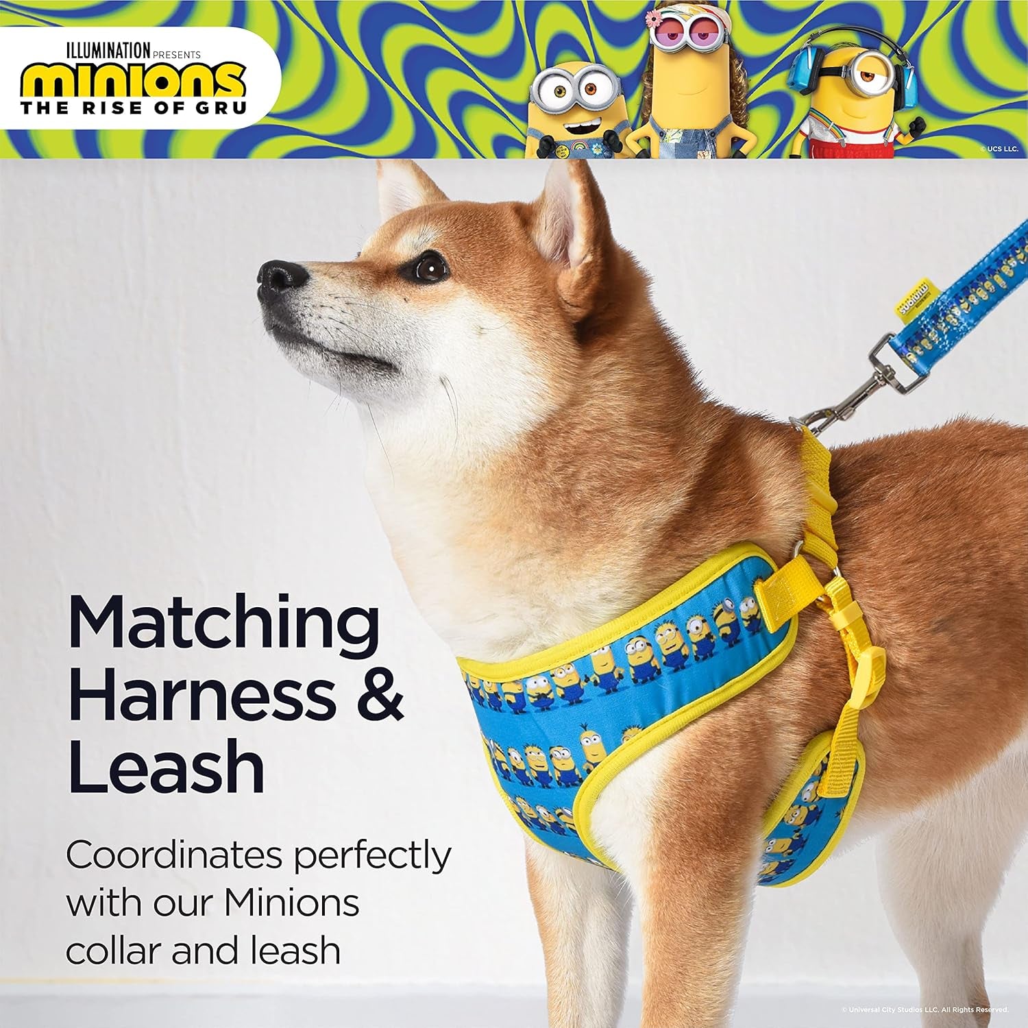 Blue Dog Harness, Small