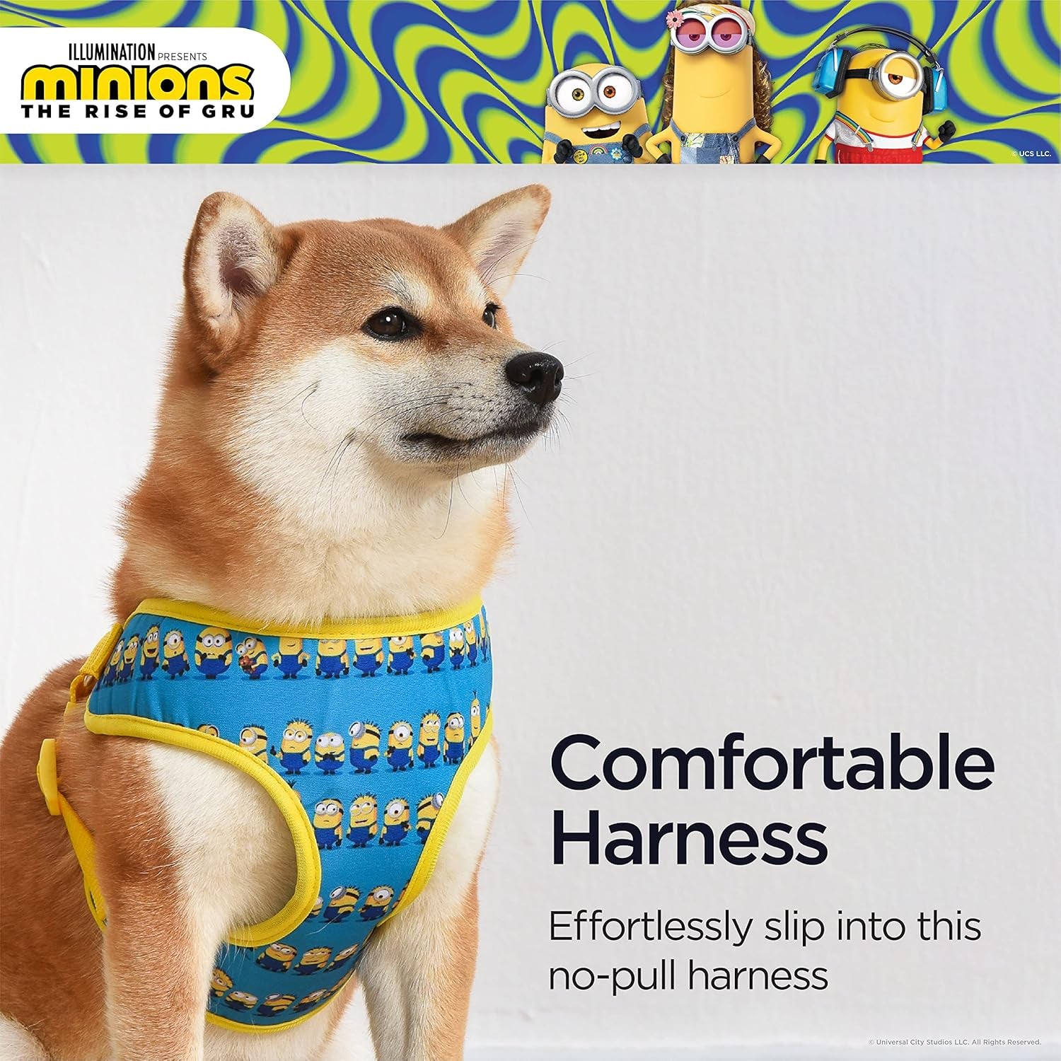 Blue Dog Harness, Small